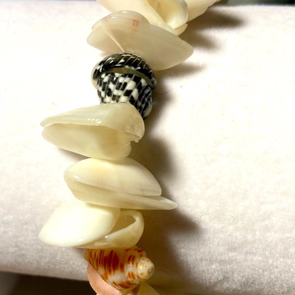 Shell bracelet with hook and eye clasp. #1000